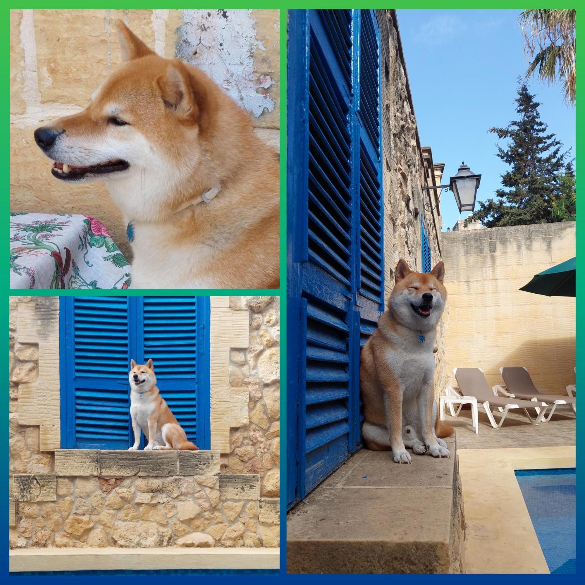 Mj Farmhouse B&B Xagħra Exteriér fotografie
